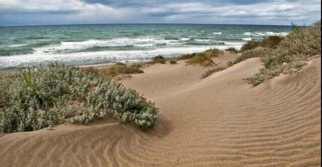 Two Bedrooms In Cabopino
