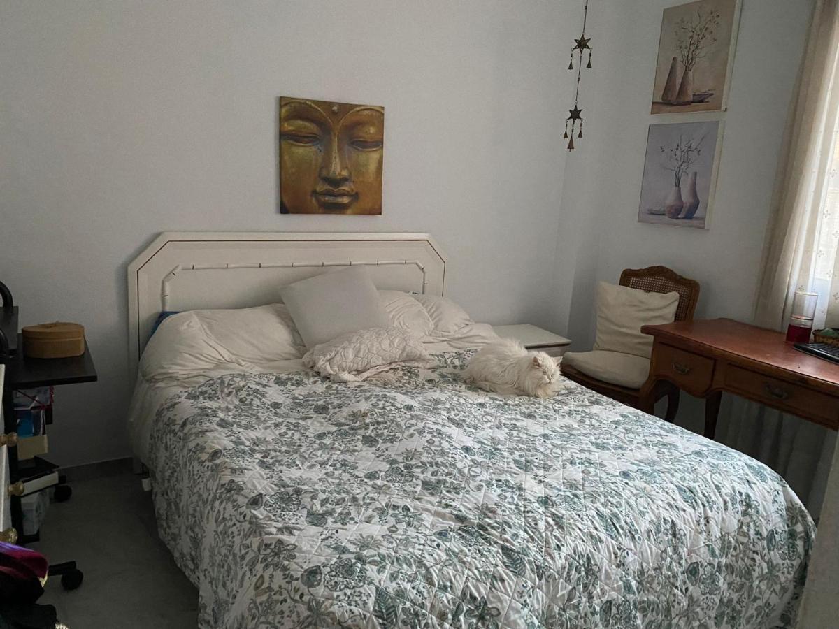Casa Merlin Apartment *