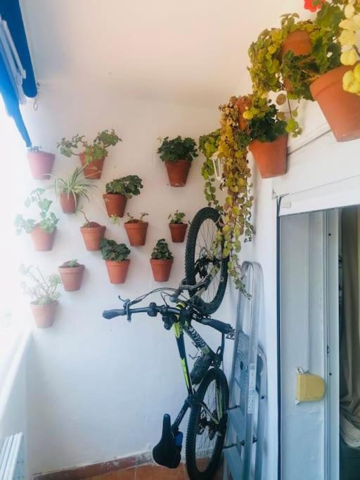 Bonito Apartamento Cerca De Puerto Banus * Marbella
