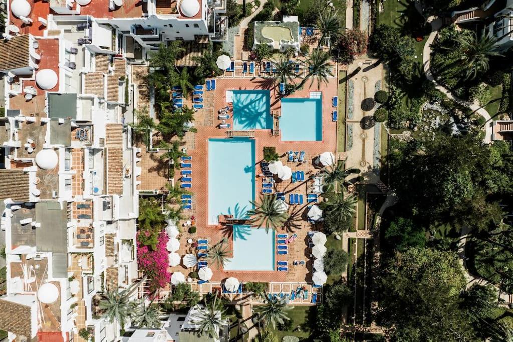 Luxury In Puerto Banus La Alcazaba Marbella