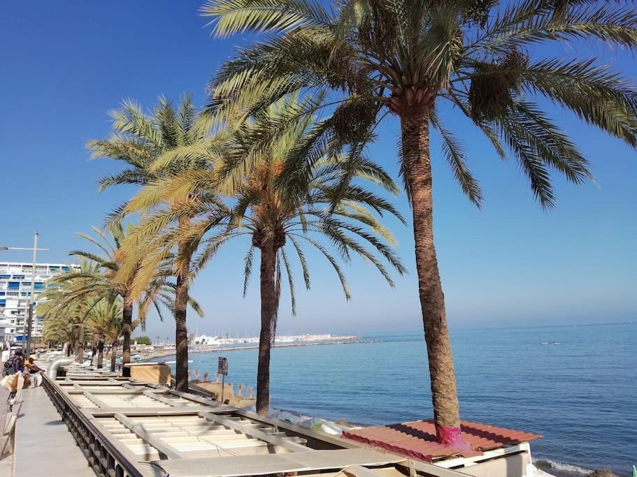 Appartement Center Ricardo Soriano 6 Persons - At 250 M *