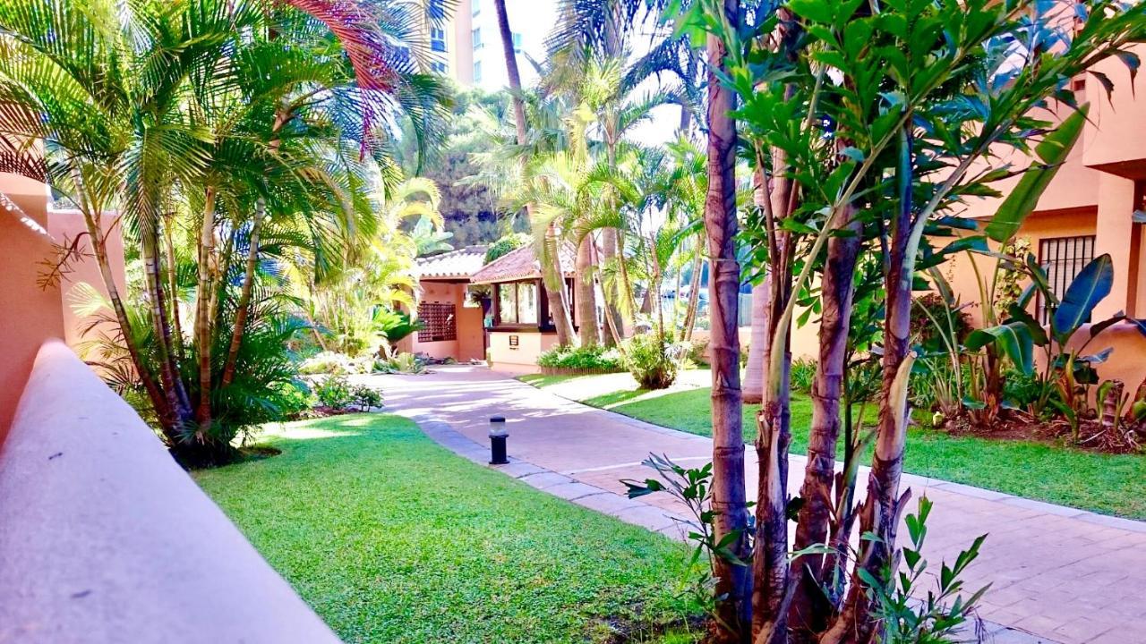 - Alicate Beachfront Apartment-9 Apartment *