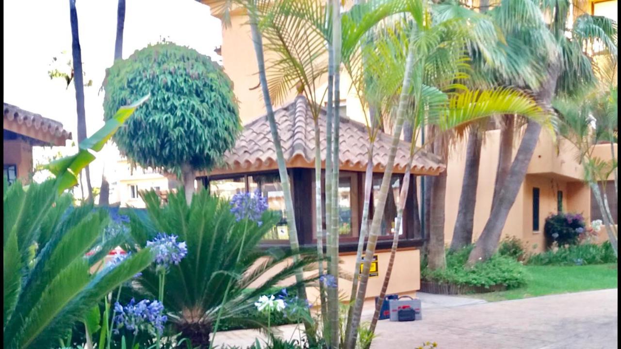 Apartment - Alicate Beachfront Apartment-9 Marbella