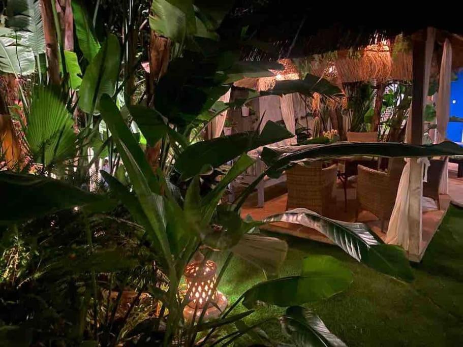 El Jardin Secreto De Elviria