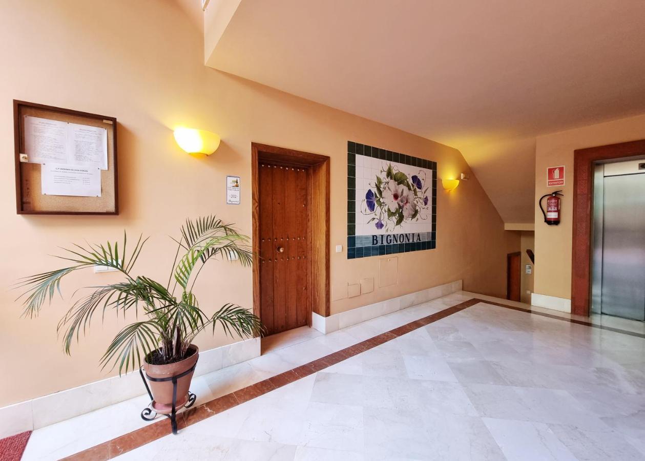 Luxury In Jardines De Don Carlos Apartment