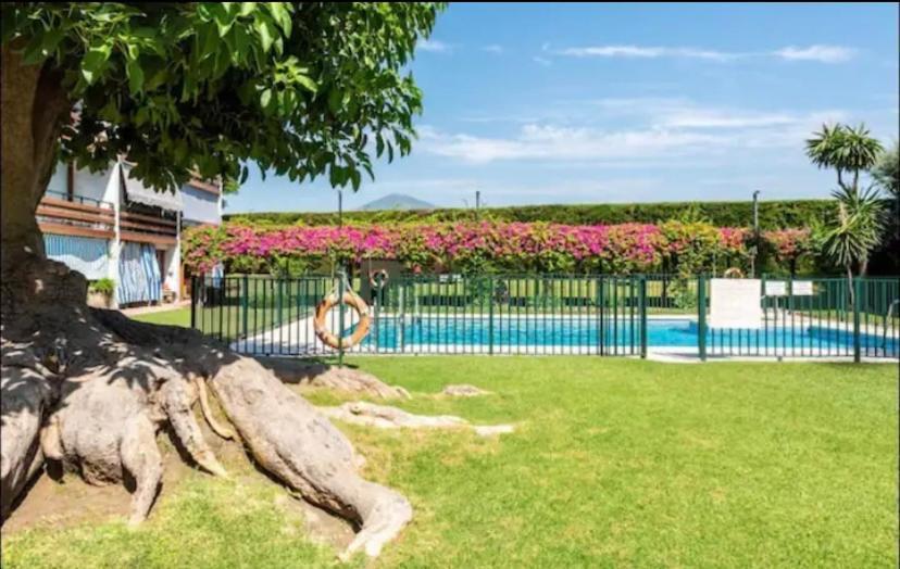Beautiful Flat - Great Location Apartment