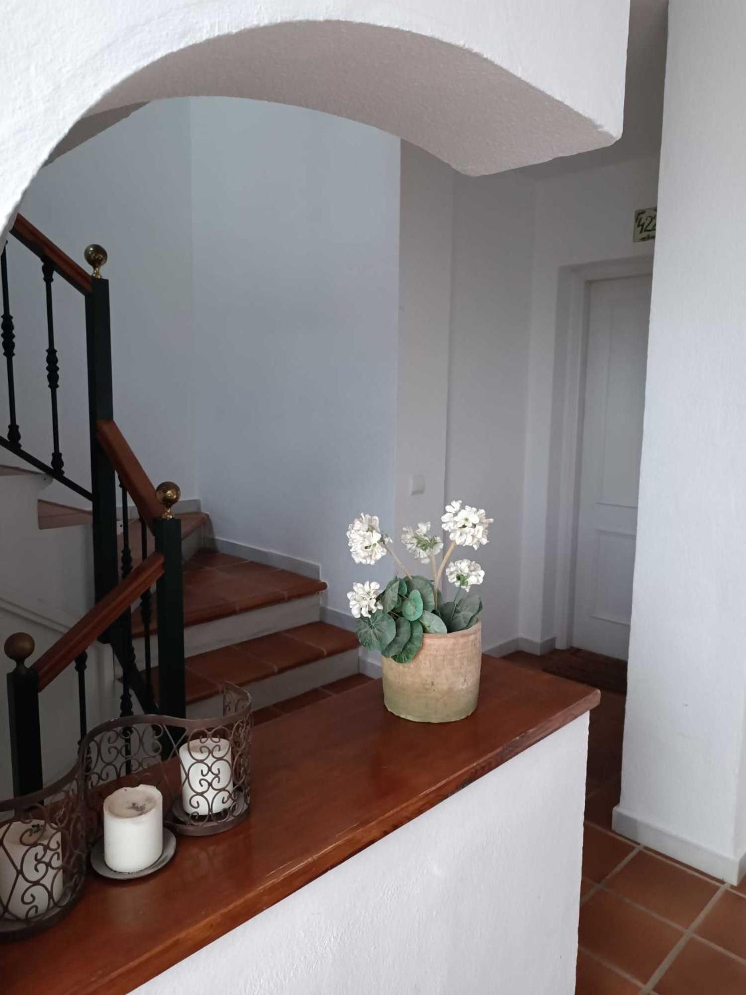 Apartamento En Paraiso Al Mar Apartment *