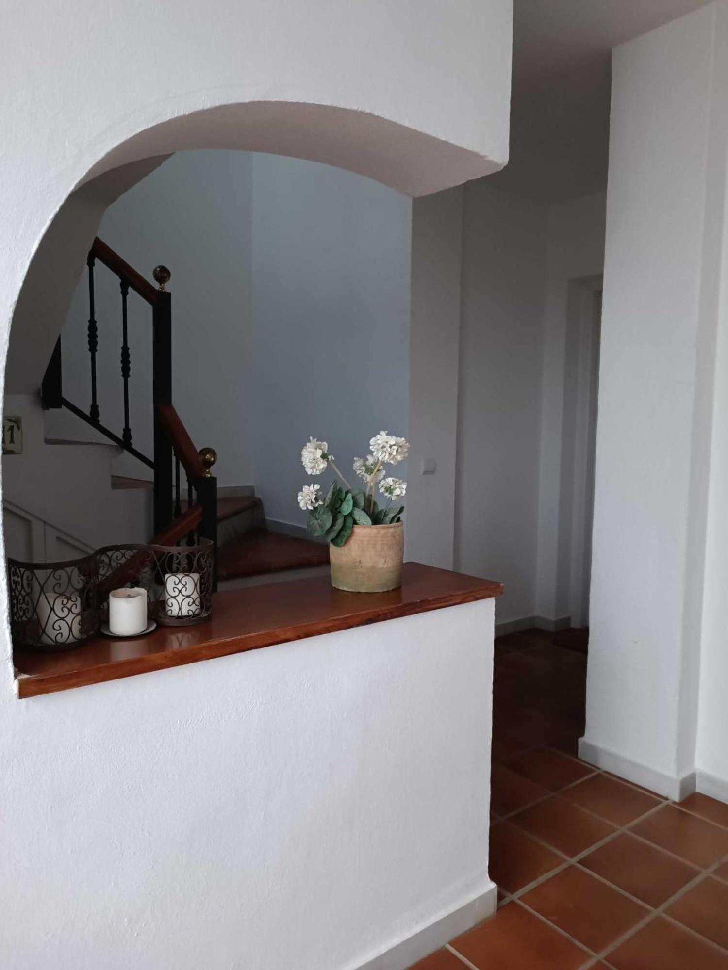 Apartment Apartamento En Paraiso Al Mar