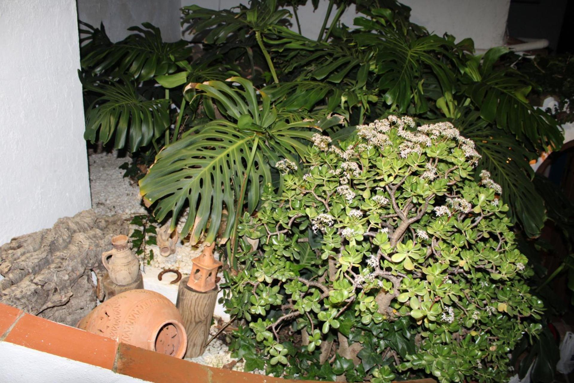 El Jardin Secreto De Elviria * Marbella