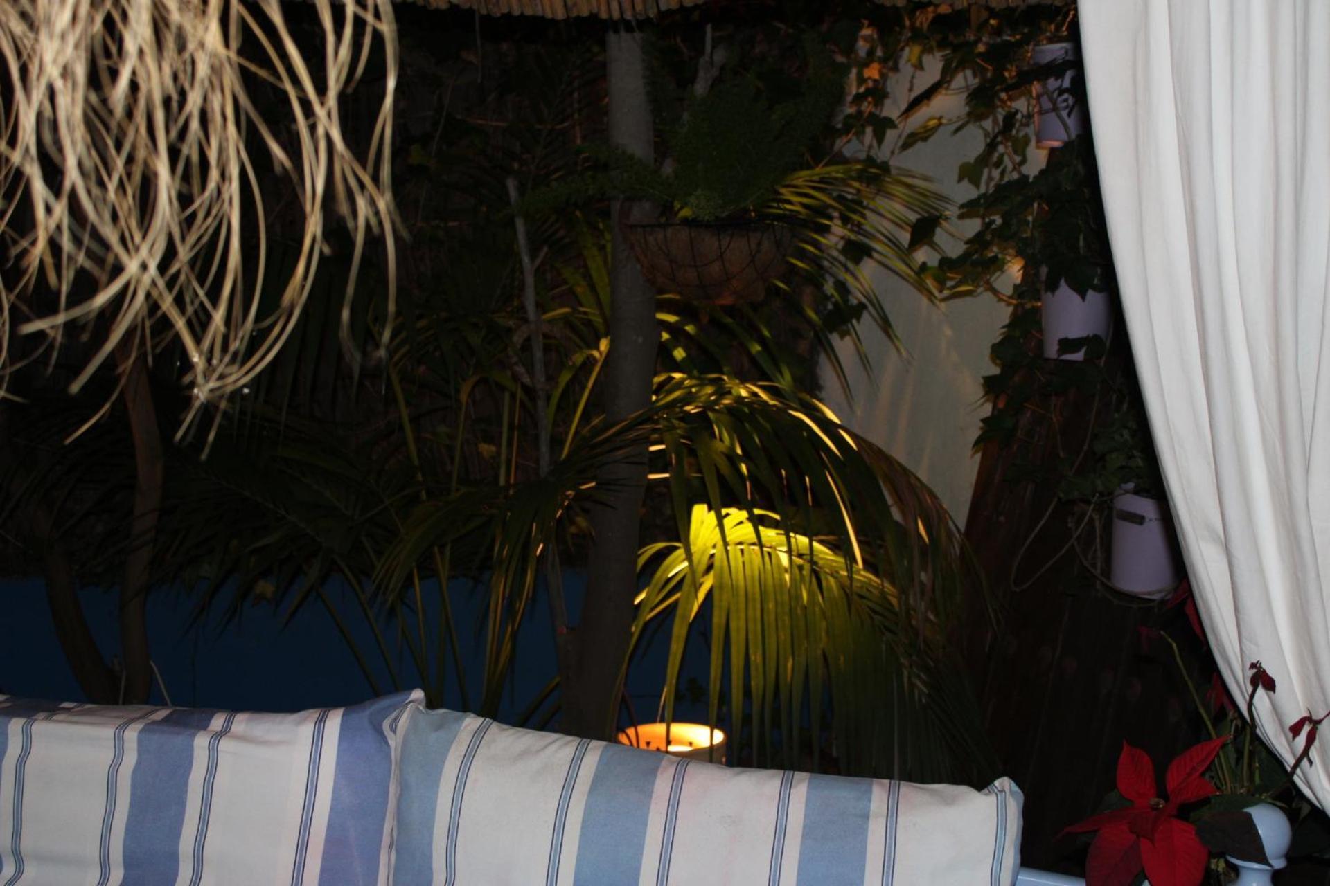 El Jardin Secreto De Elviria *