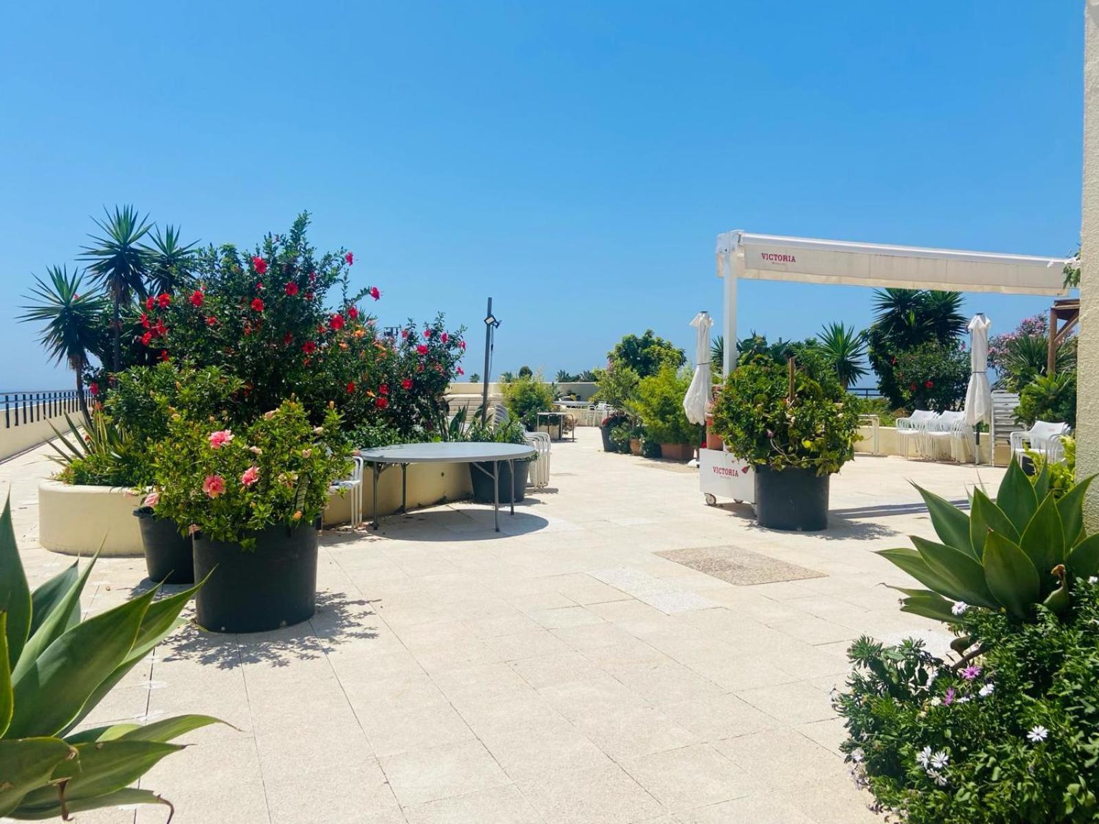 First Line Studio/center/5p! Marbella