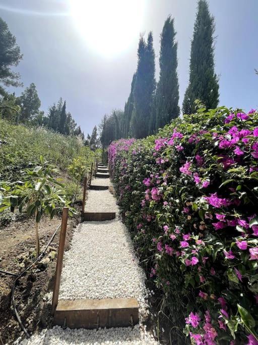 Villa Marbella Villa Marbella