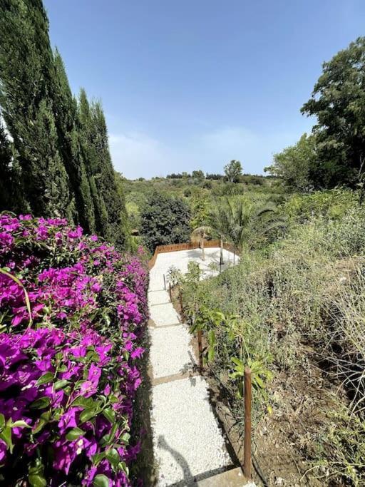 Villa Marbella Villa *