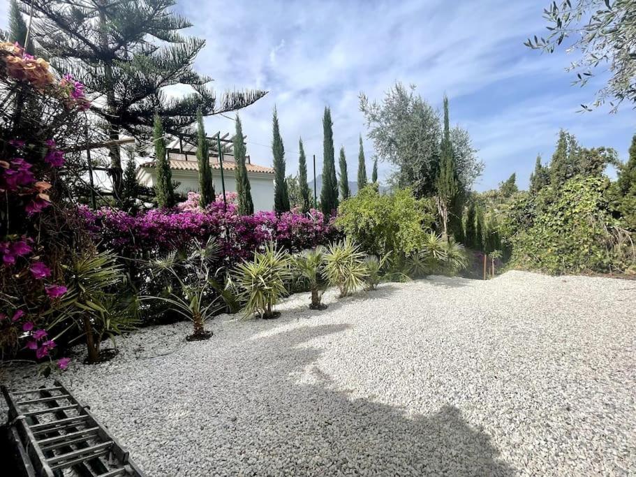 Villa Marbella *