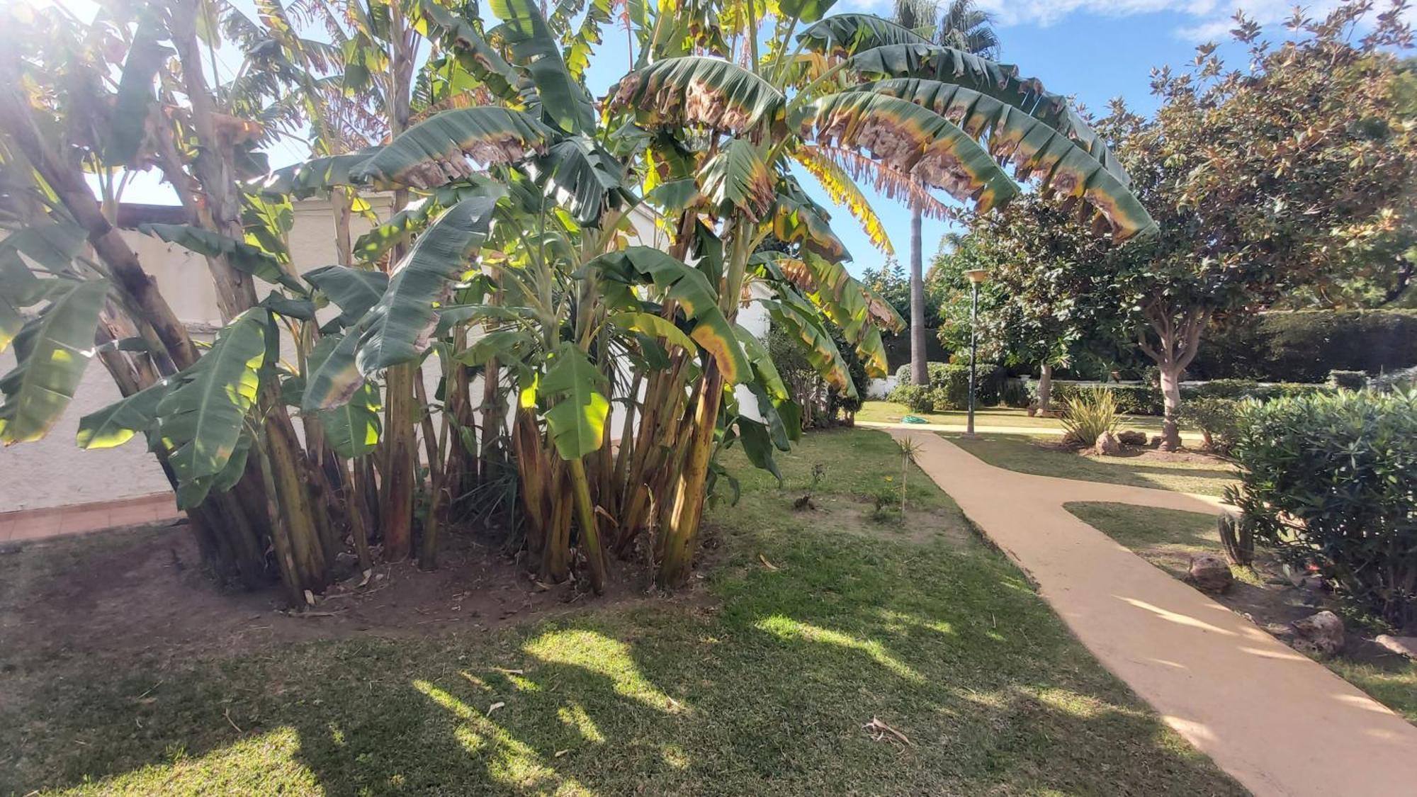 Del Parque Flats Picasso Townhouse Holiday home Marbella