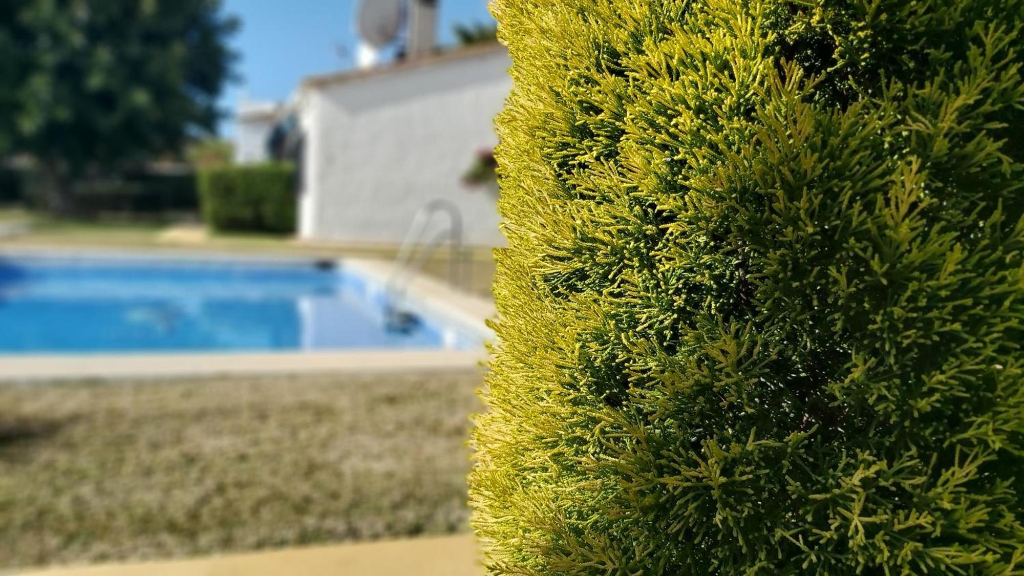 Del Parque Flats Picasso Townhouse *