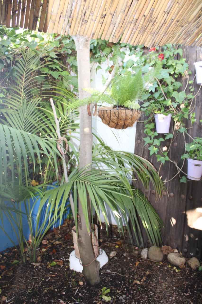 El Jardin Secreto De Elviria Marbella
