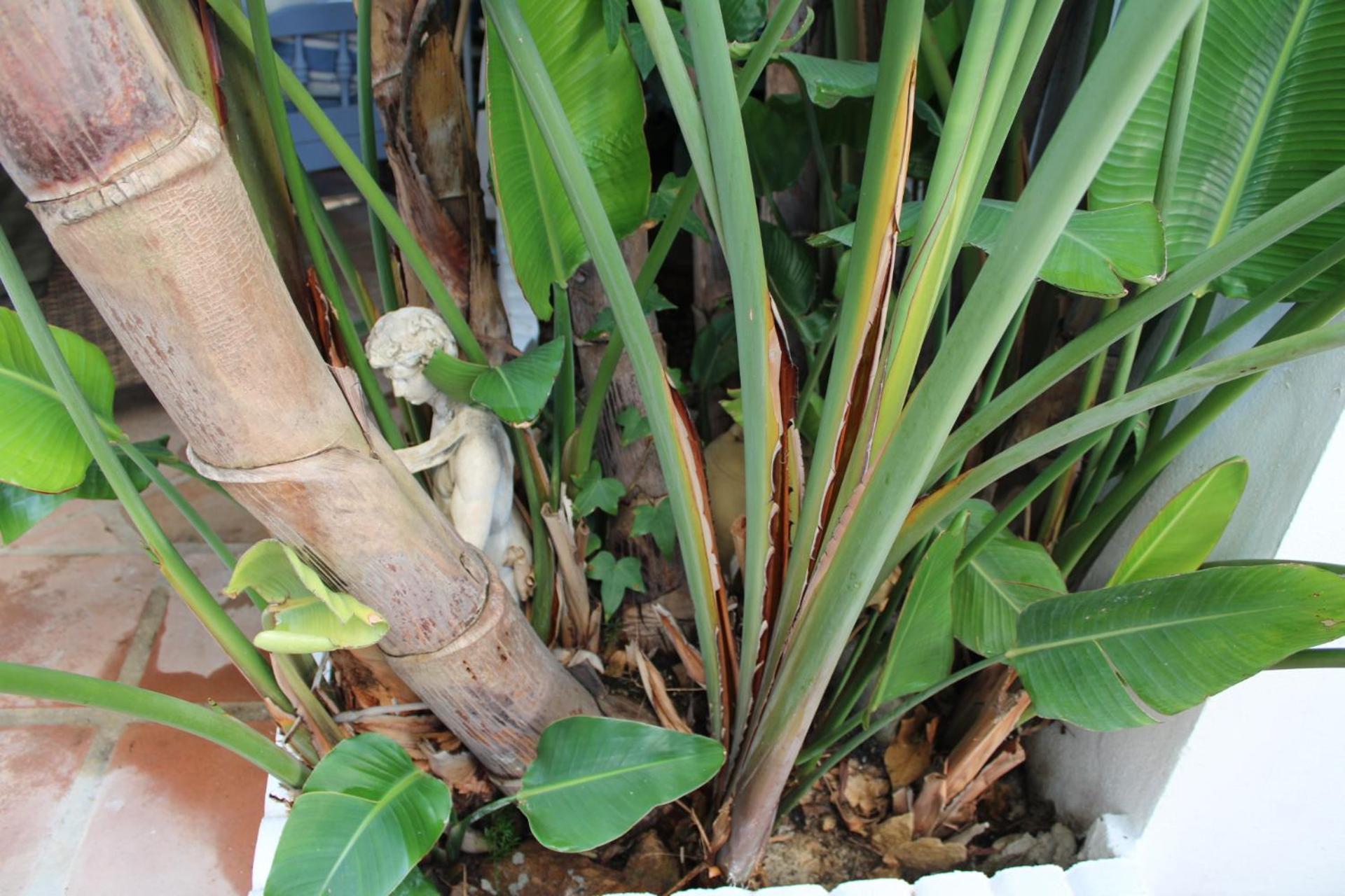 El Jardin Secreto De Elviria * Marbella
