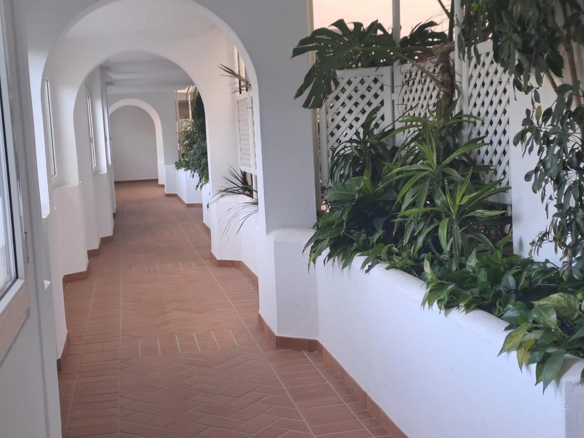Luminous In Playas Del Duque , Puerto Banus By Holidays & Appartement *