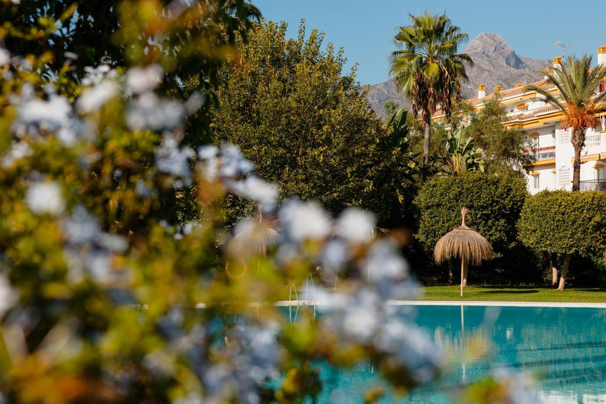 Ground Floor Holiday Apartment With Terrace And Pool In Puerto Banus, Marbella Apartamento *