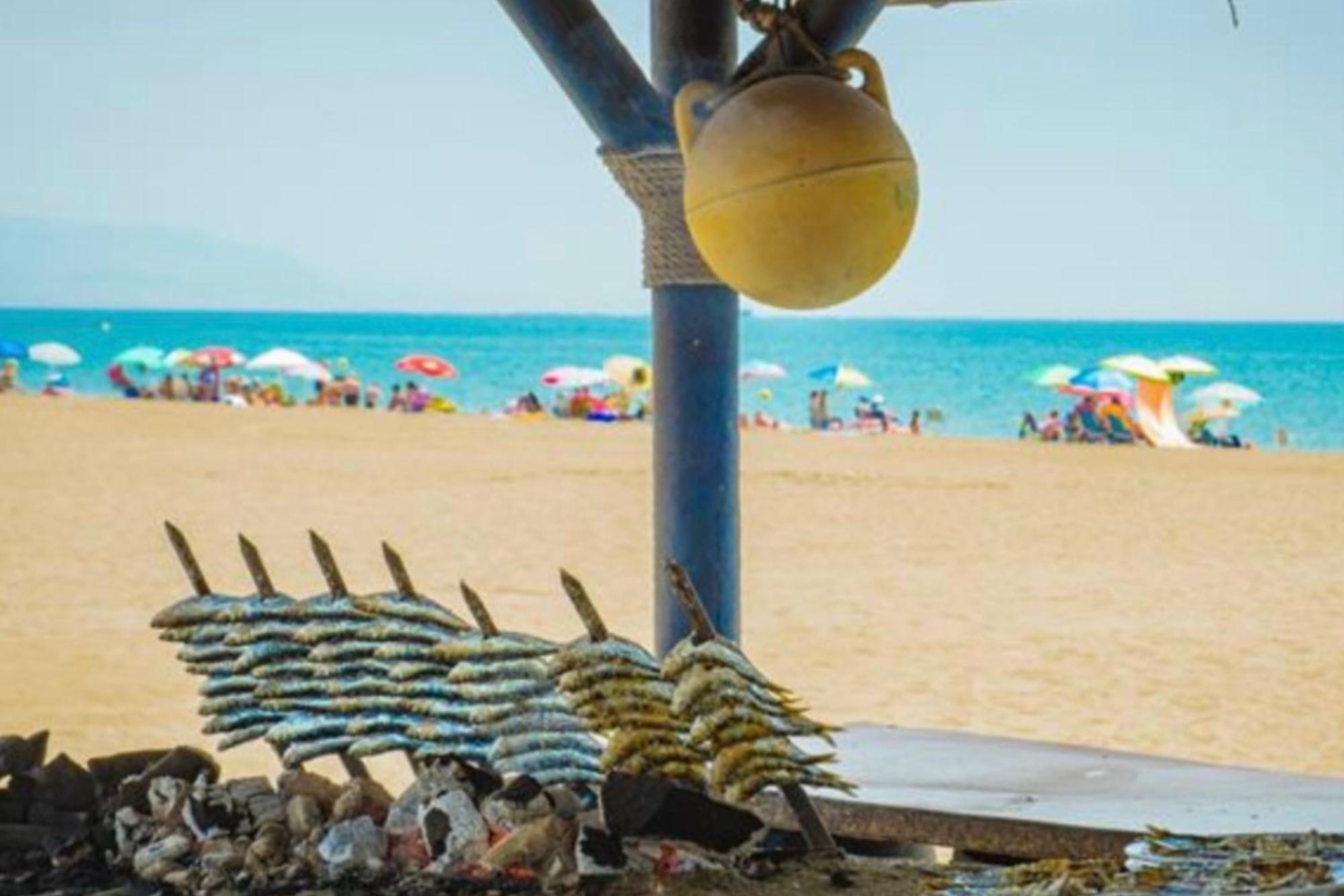 - Alicate Beachfront Apartment-9 Apartment Marbella