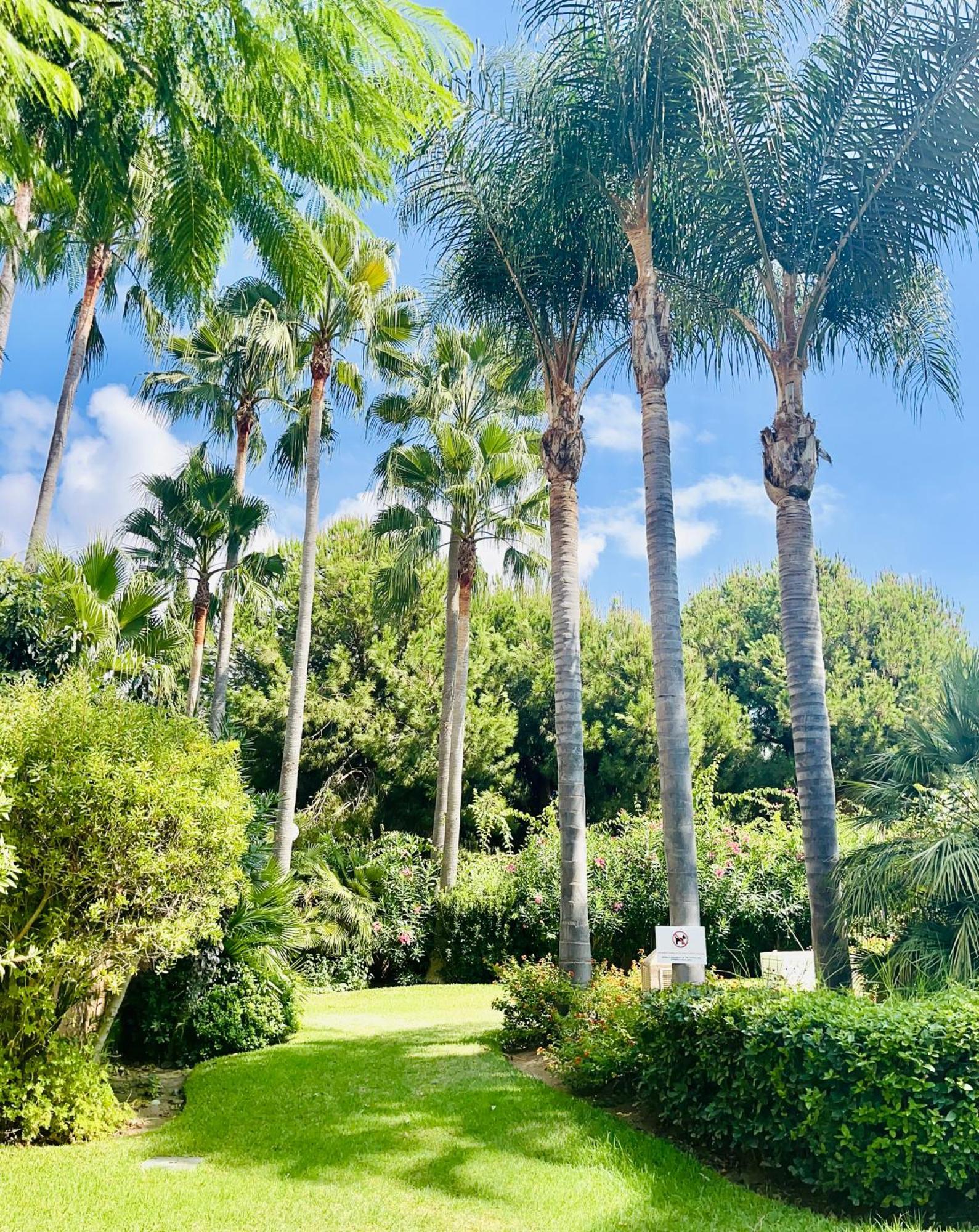 Two Bedrooms In Cabopino * Marbella
