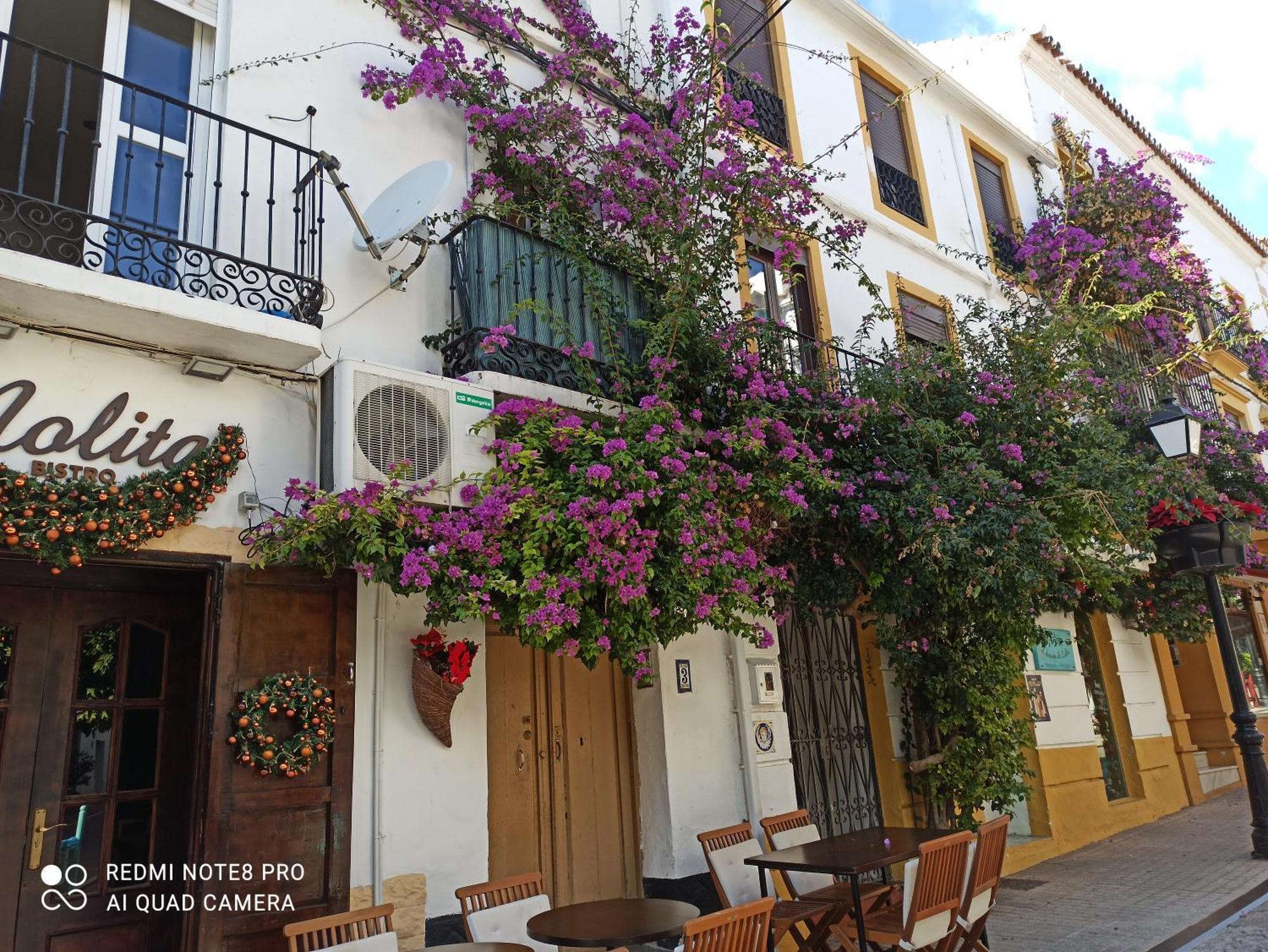 Bambino Playa Marbella