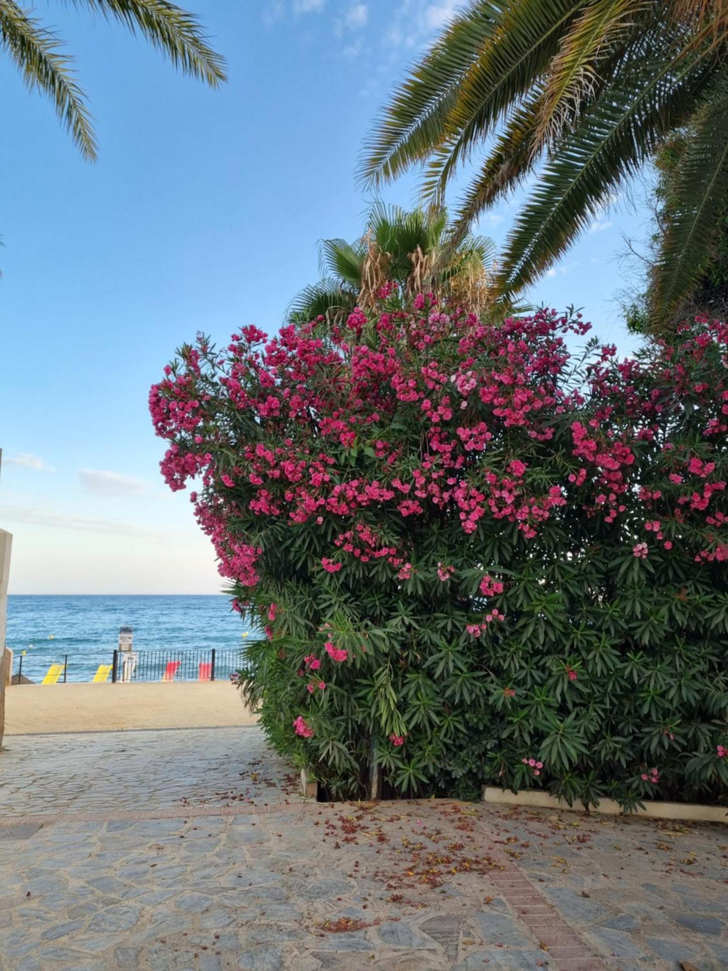 Toplage Neubau Luxus-apartment, Und Altstadt In Minuten Zu Fuss Marbella