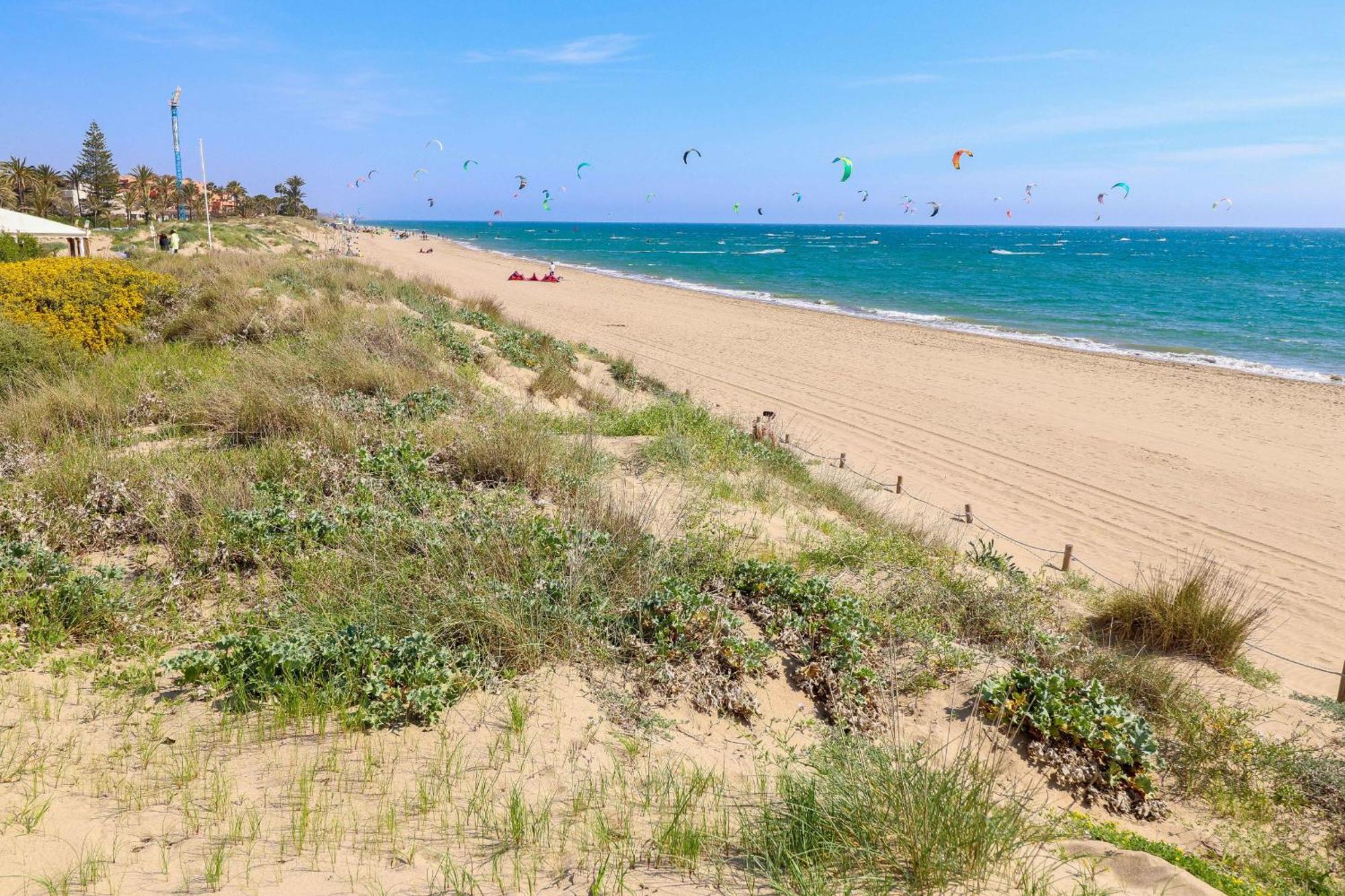Frontline Ground Floor - Monteros Palm Apartment *