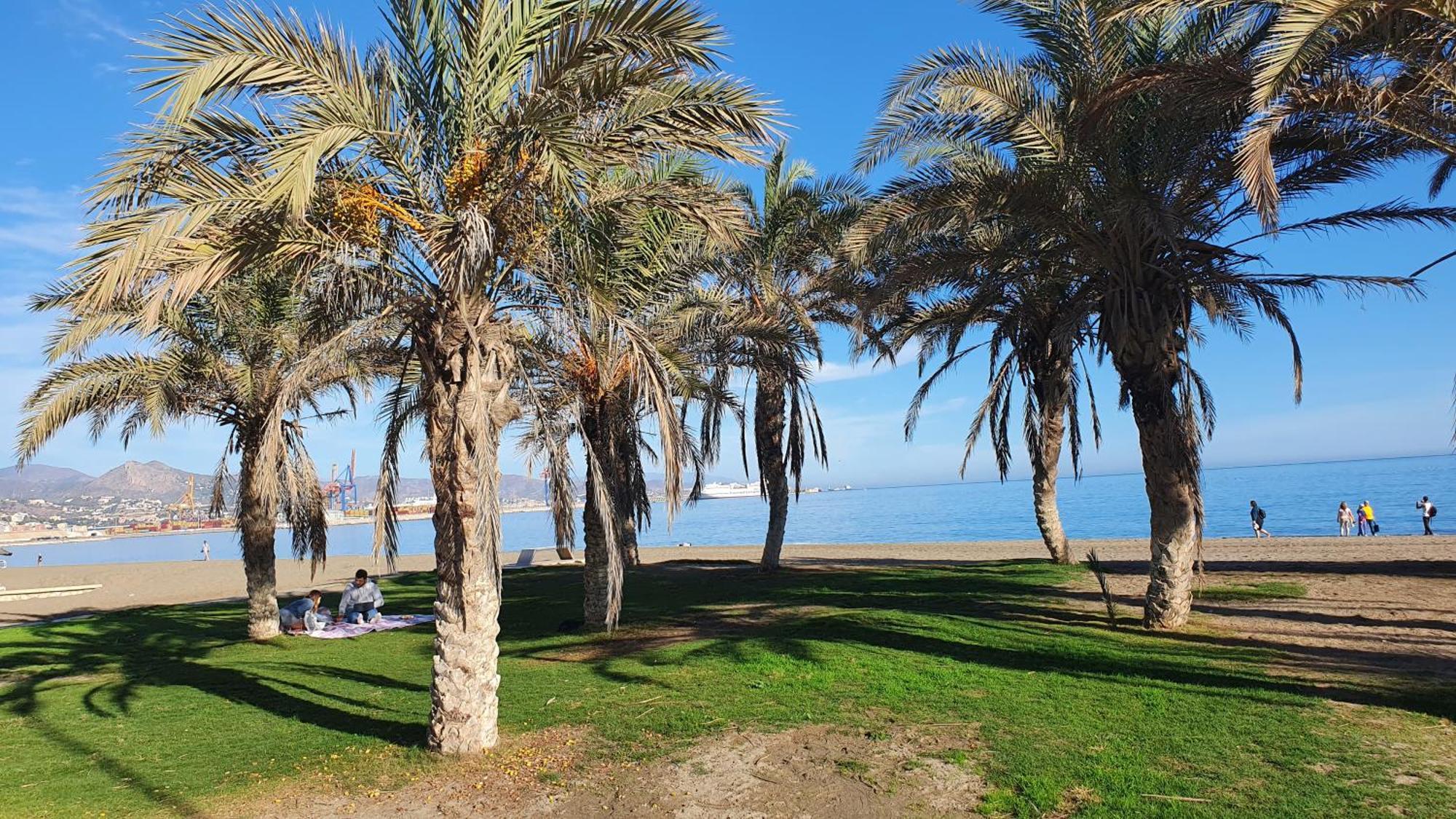Duplex Home, Marbella, View, Marbella