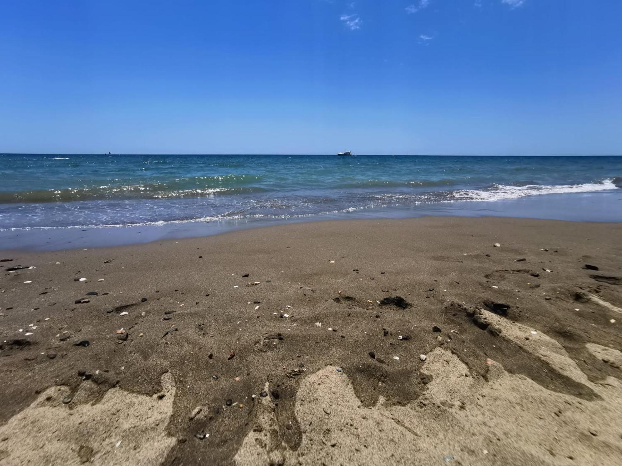 Arena Carpe Diem * Marbella