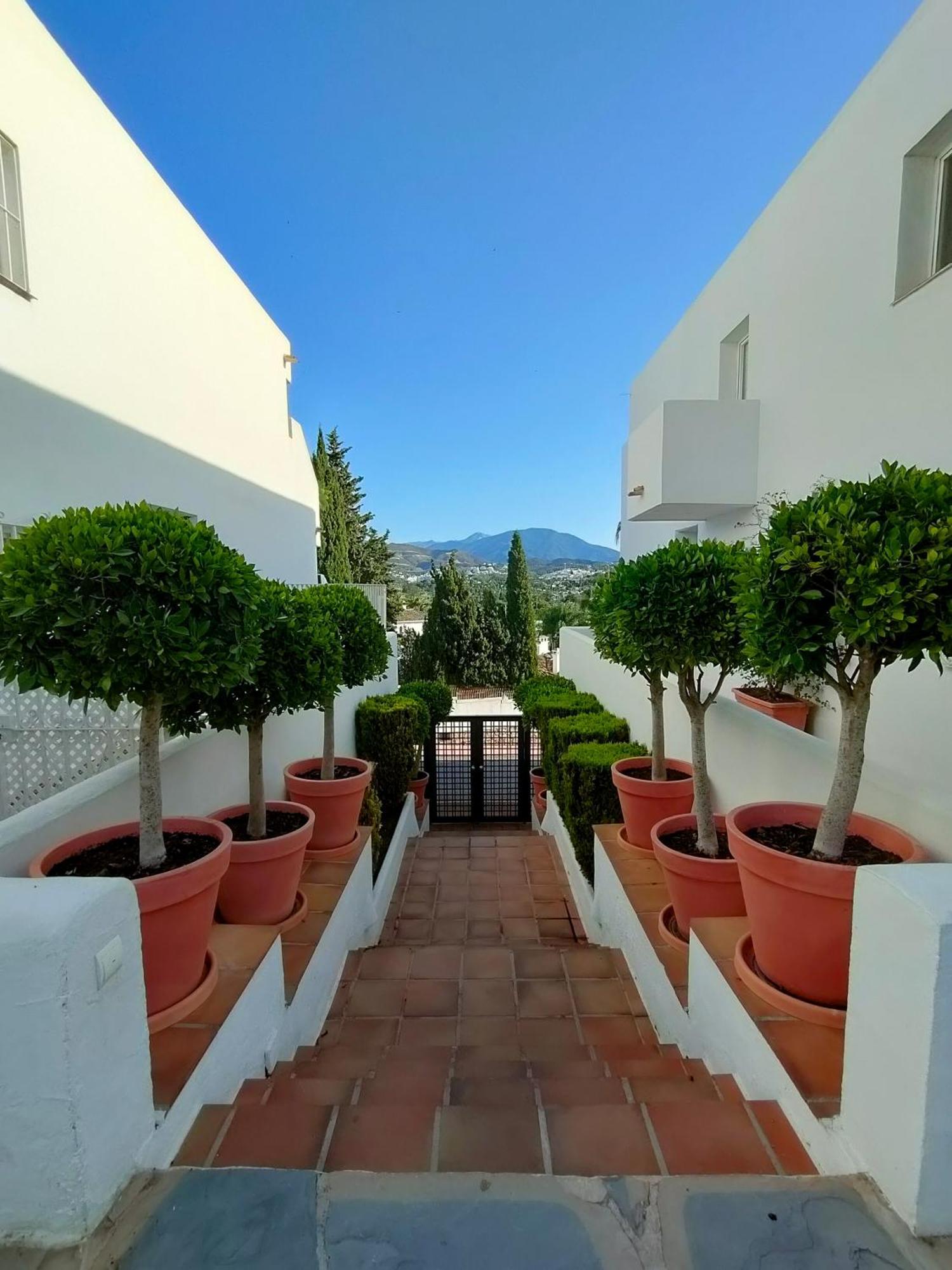 Atico En Nueva Andalucia - Puerto Banus * Marbella