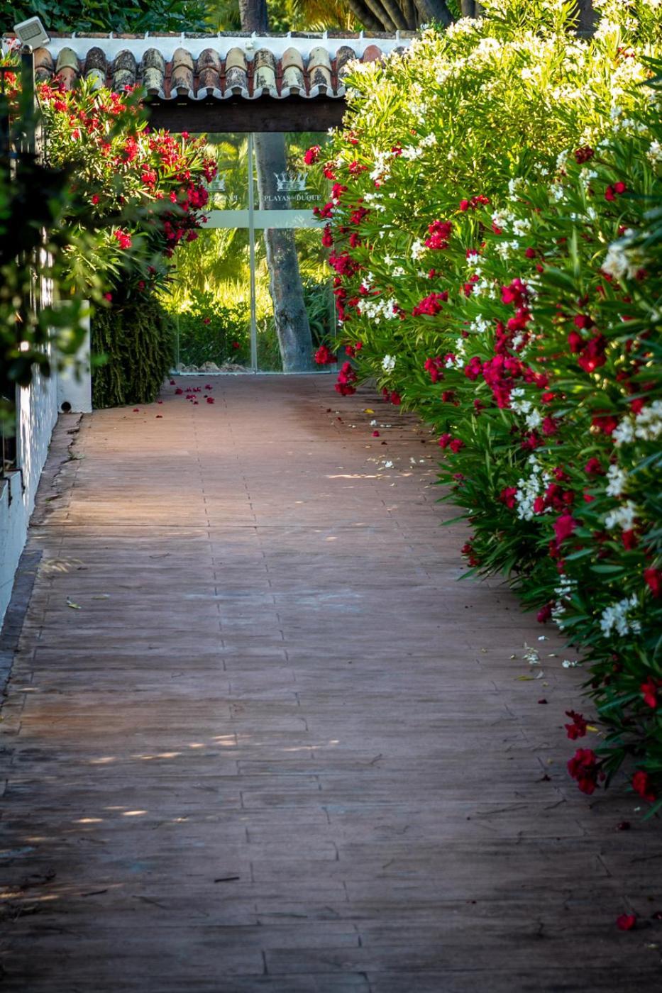 Apartment Banus - Daisy Playas Del Duque Banus Marbella