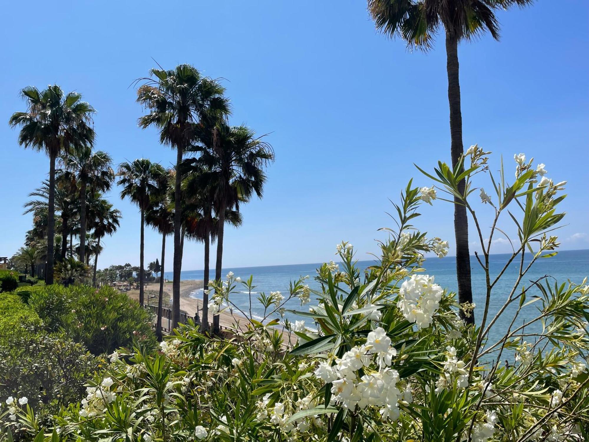 Villa Luxury On Mistral Beach, Puerto Banus.