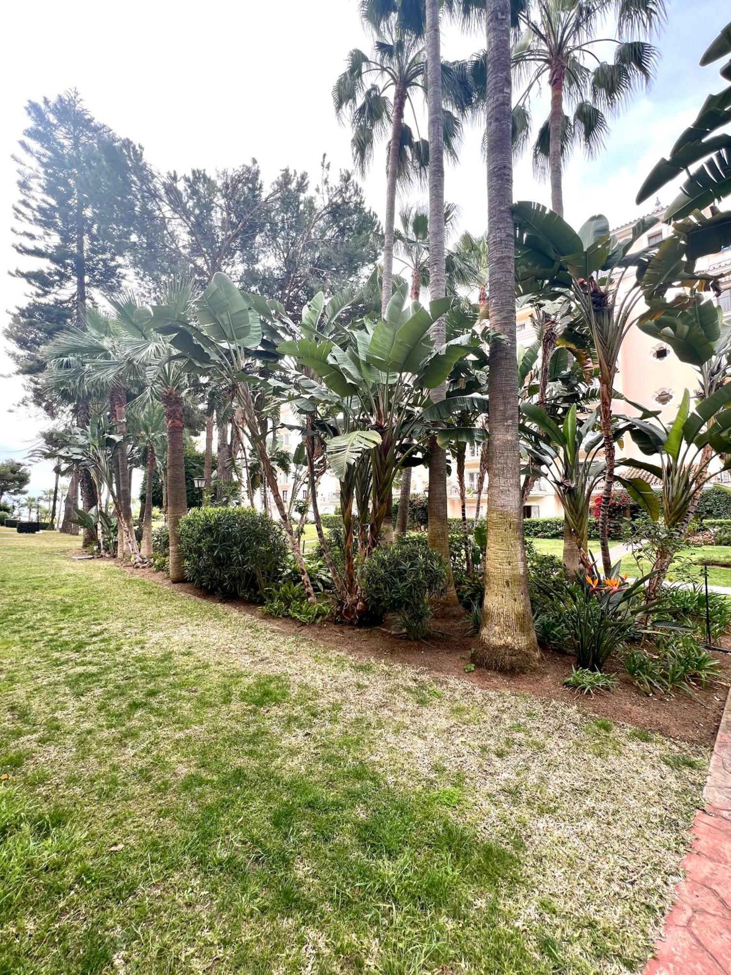 Puerto Banus Au Pied De La