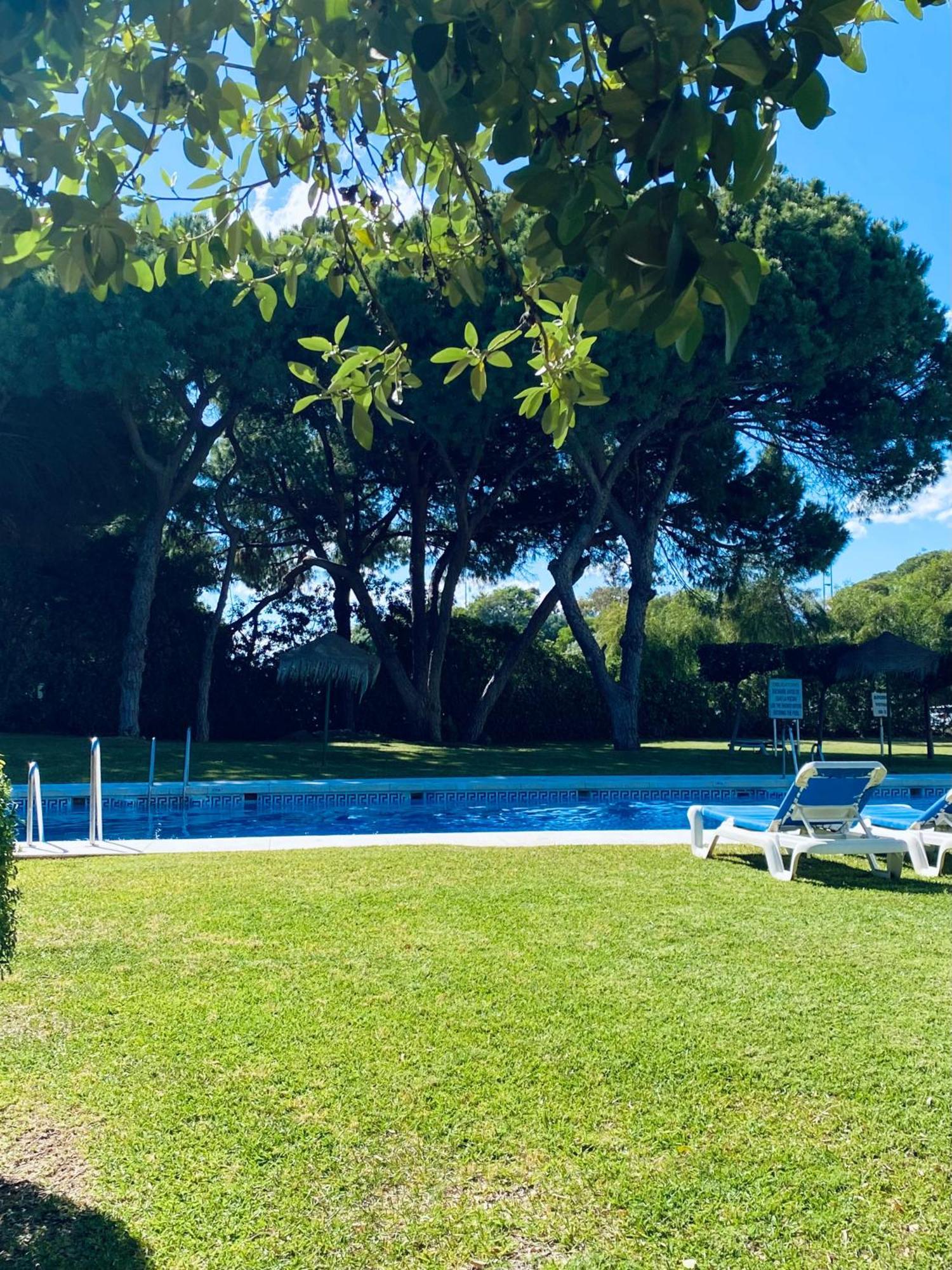 Apartamento Luminoso Dos Personas En Cabopino
