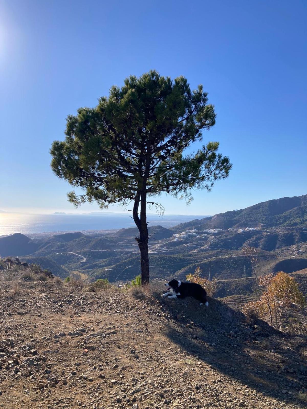 Apartment El Mirador By Bh Marbella