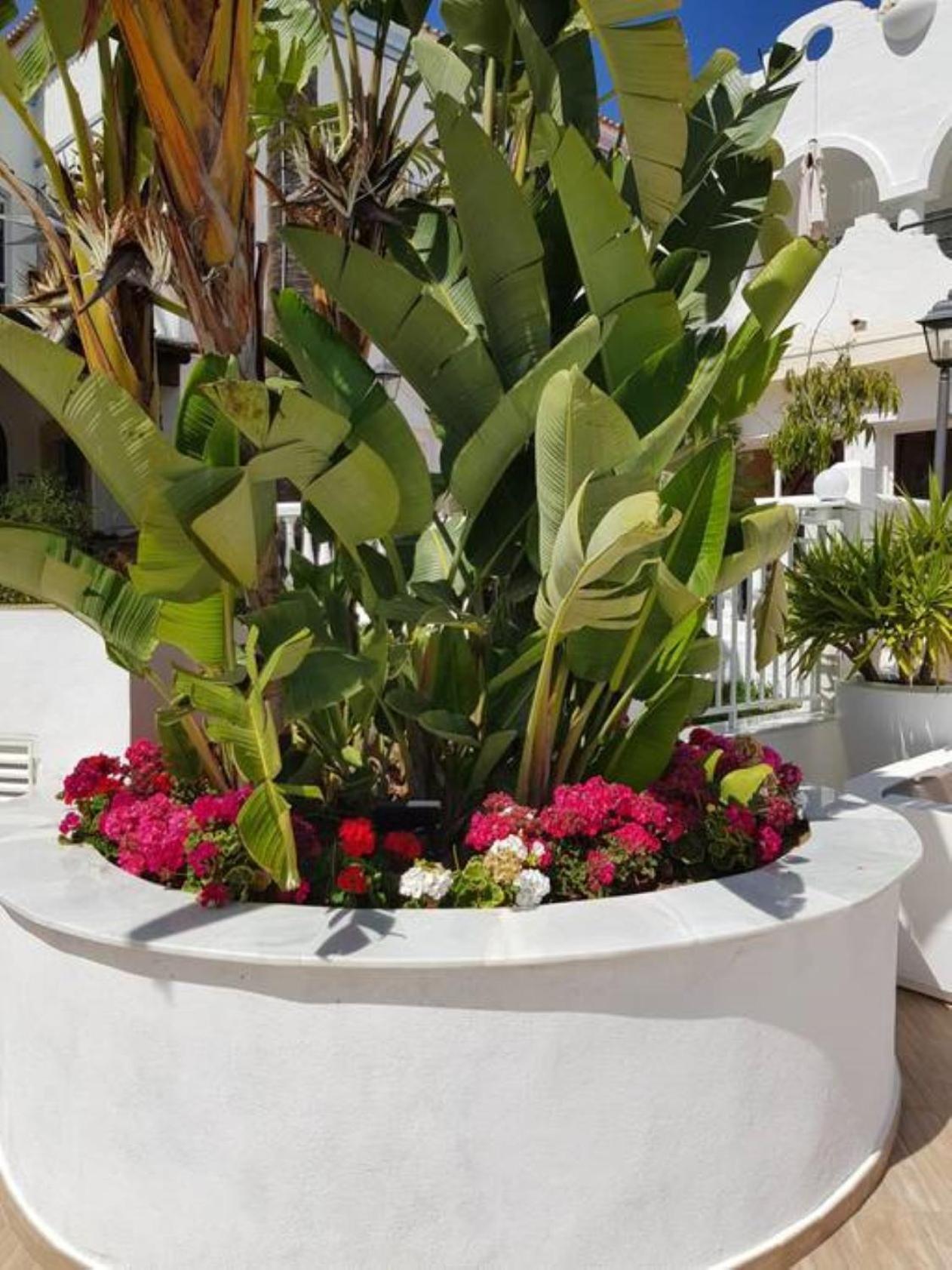 Apartamento Casa Chico 2 Bedroom Townhouse 1 Mile From Marina & Beaches Marbella