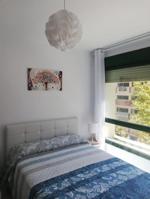 Estudio Cosmopolita Marbella