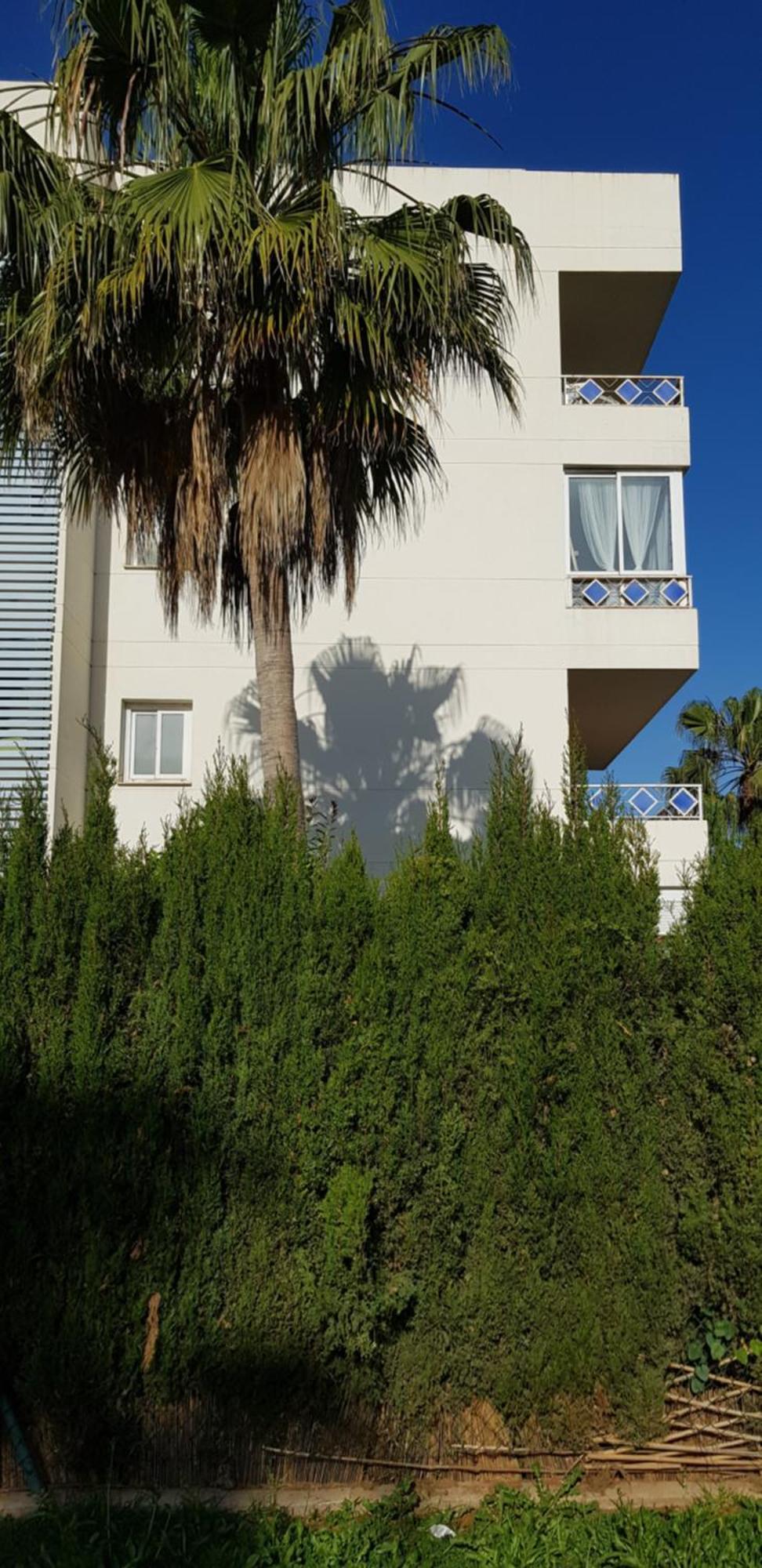 Con Jardin Y Piscina Pet Friendly *