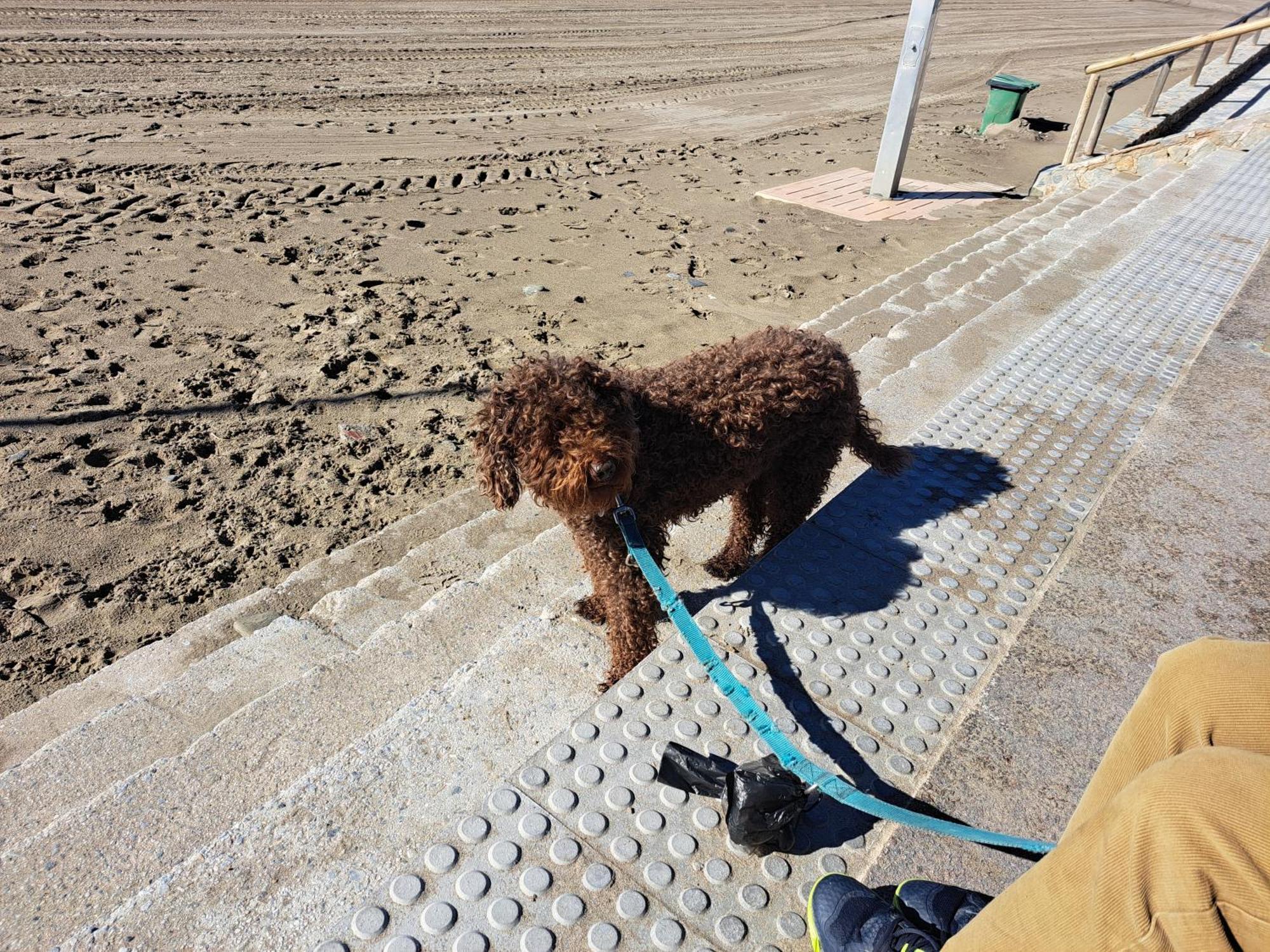 Con Jardin Y Piscina Pet Friendly * Marbella