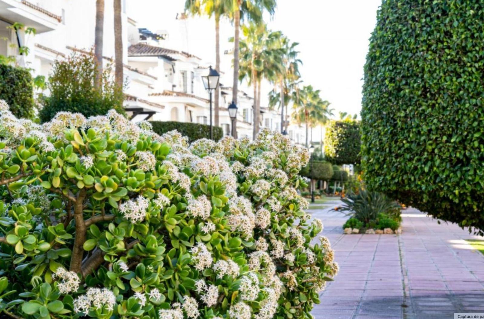 Ab - Chic - Los Naranjos - Puerto Banus Apartment