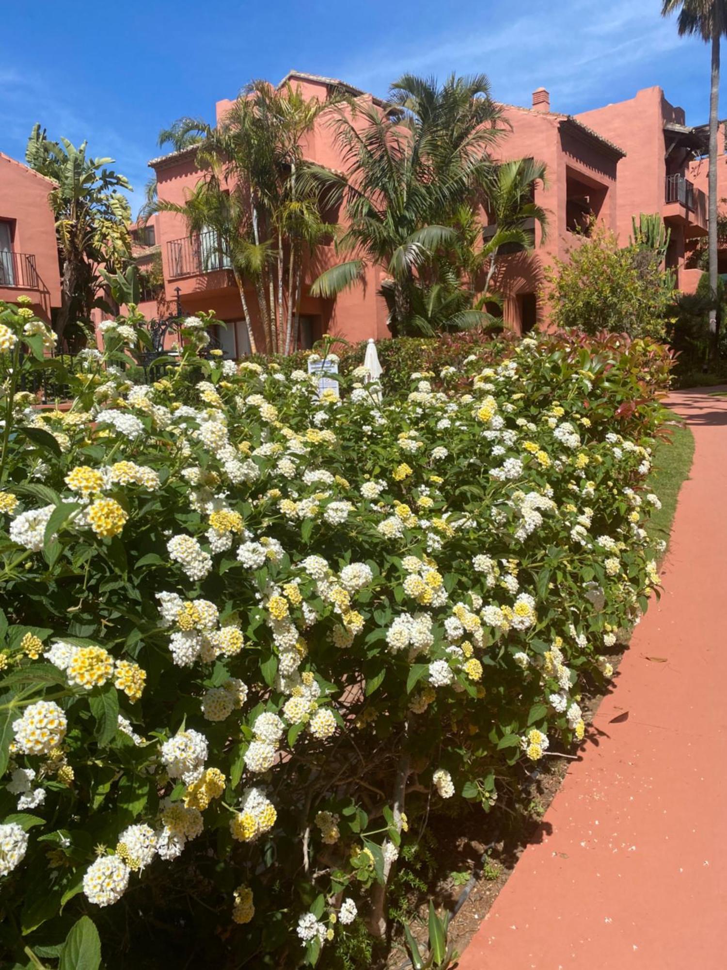 Apartment Don Carlos *