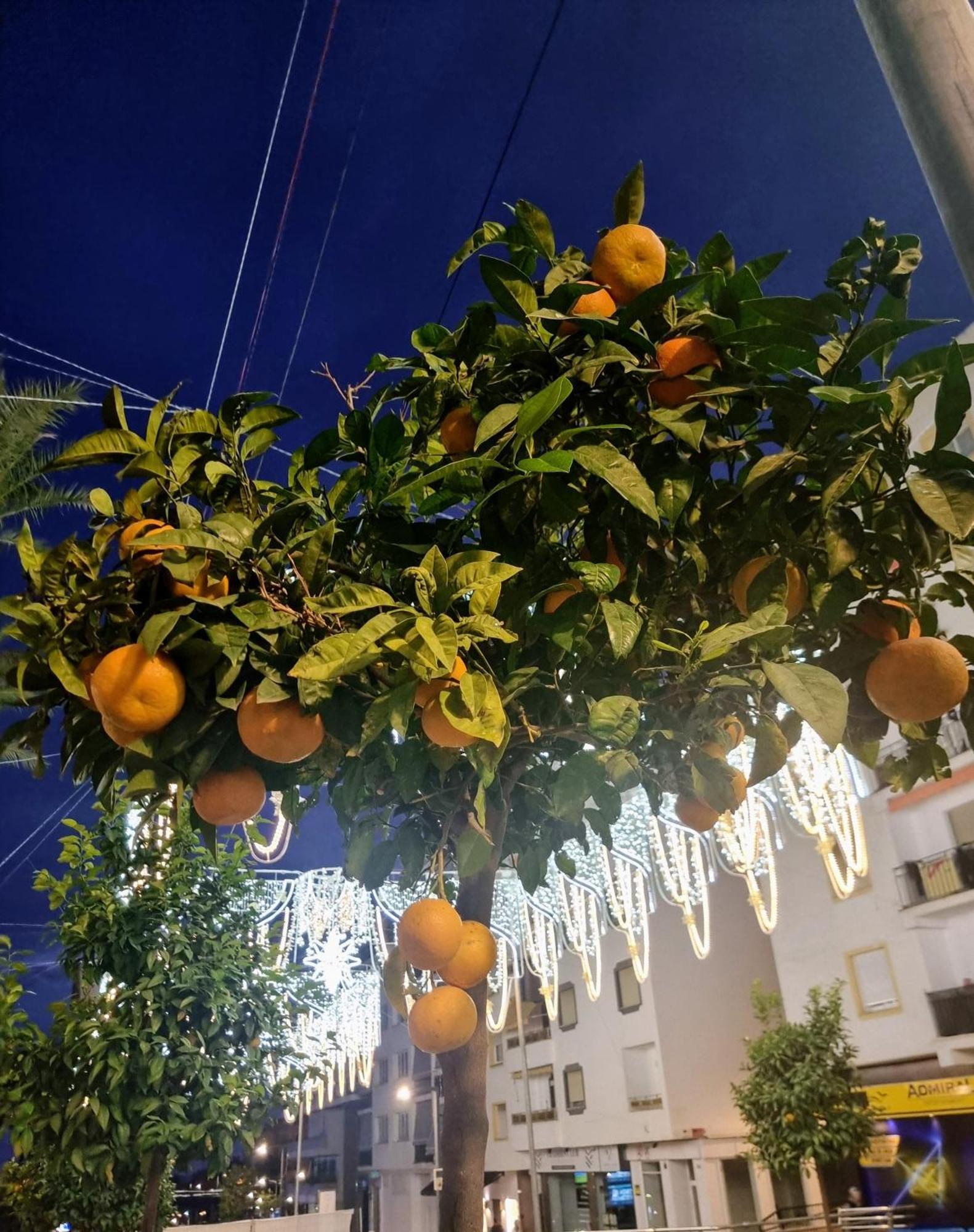 San Pedro De Alcántara 5* * Marbella
