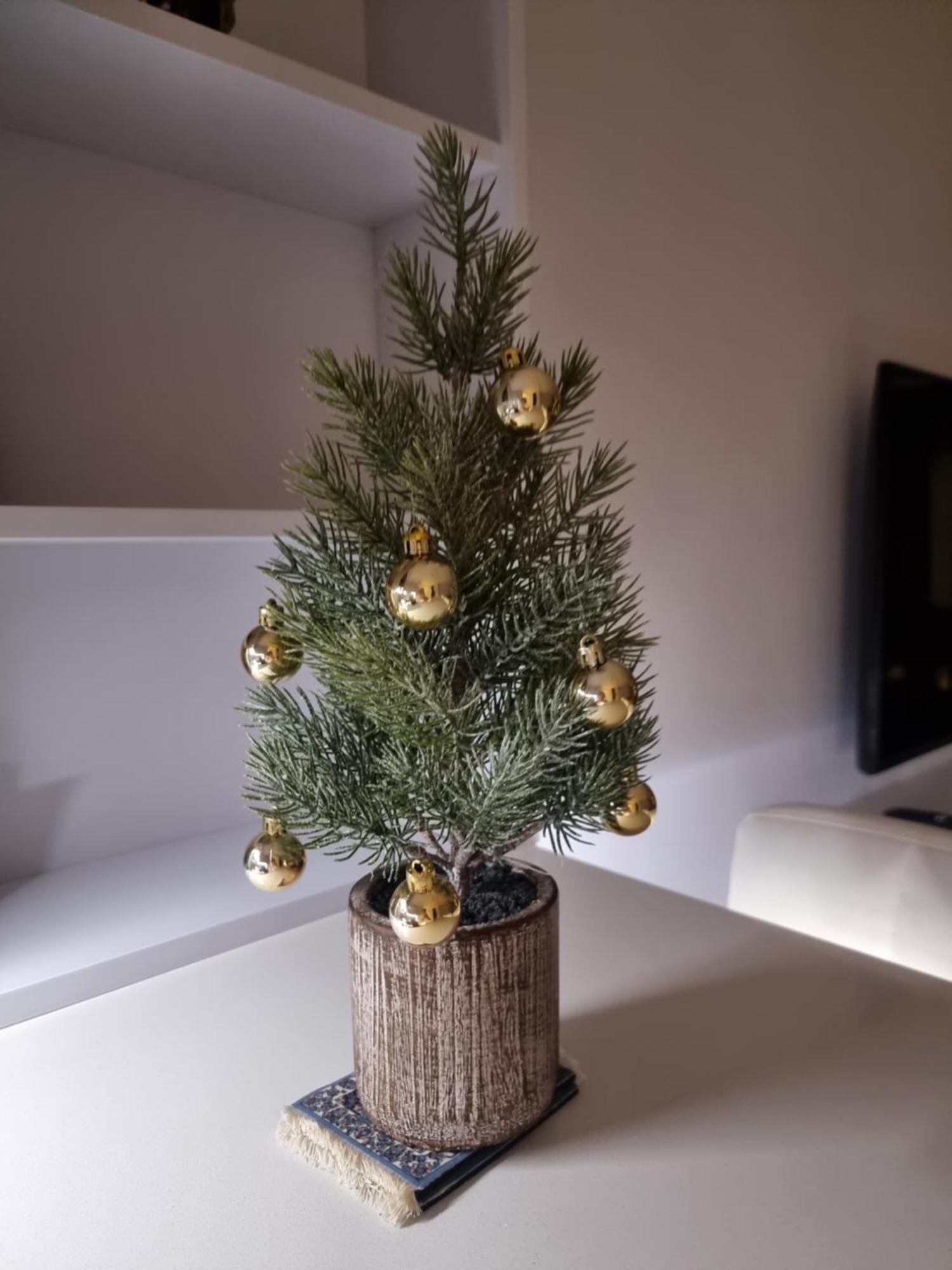 Apartamento San Pedro De Alcántara 5* *
