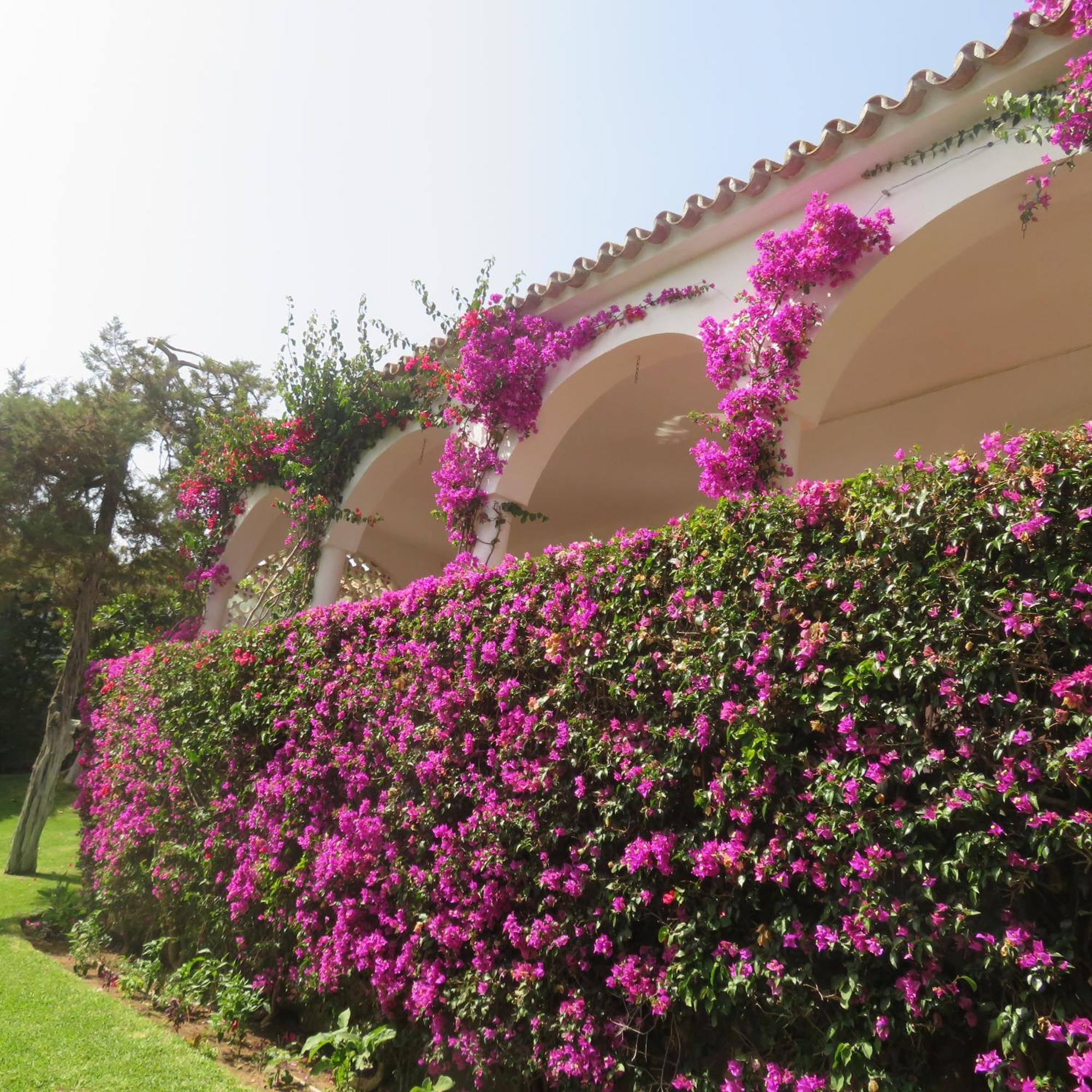 Casa Santorini Las Chapas Marbella
