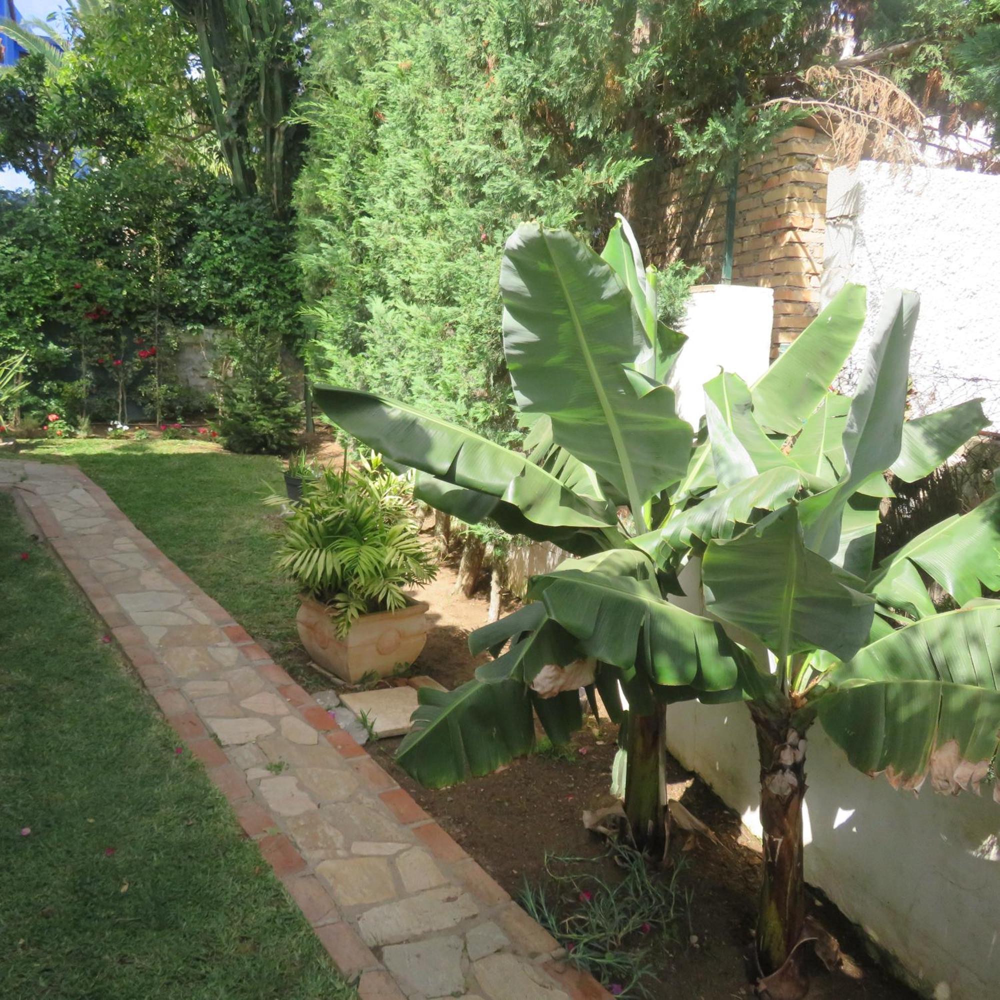Сasa de vacaciones Casa Santorini Las Chapas Marbella