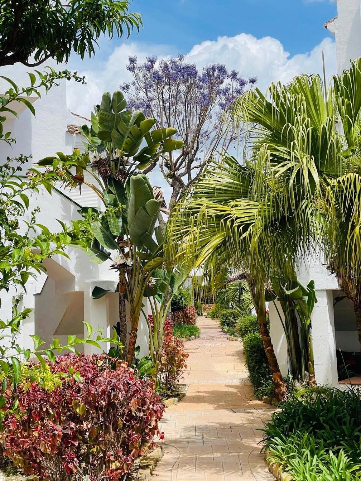 Apartment Divina Marbella