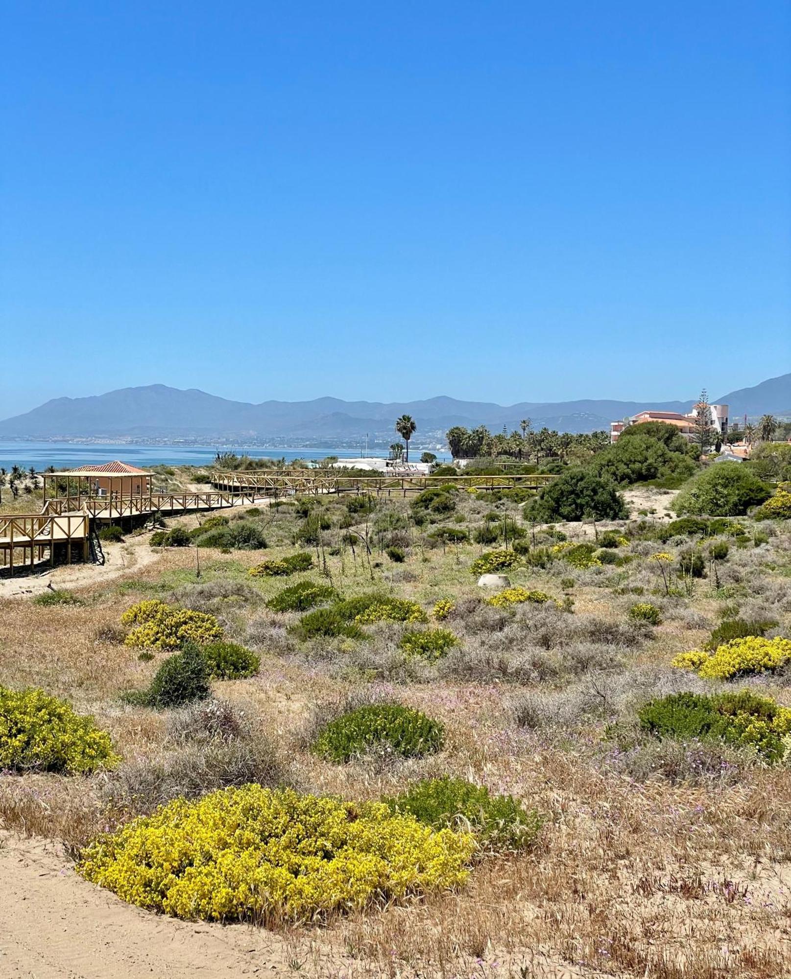 Divina Apartment Marbella