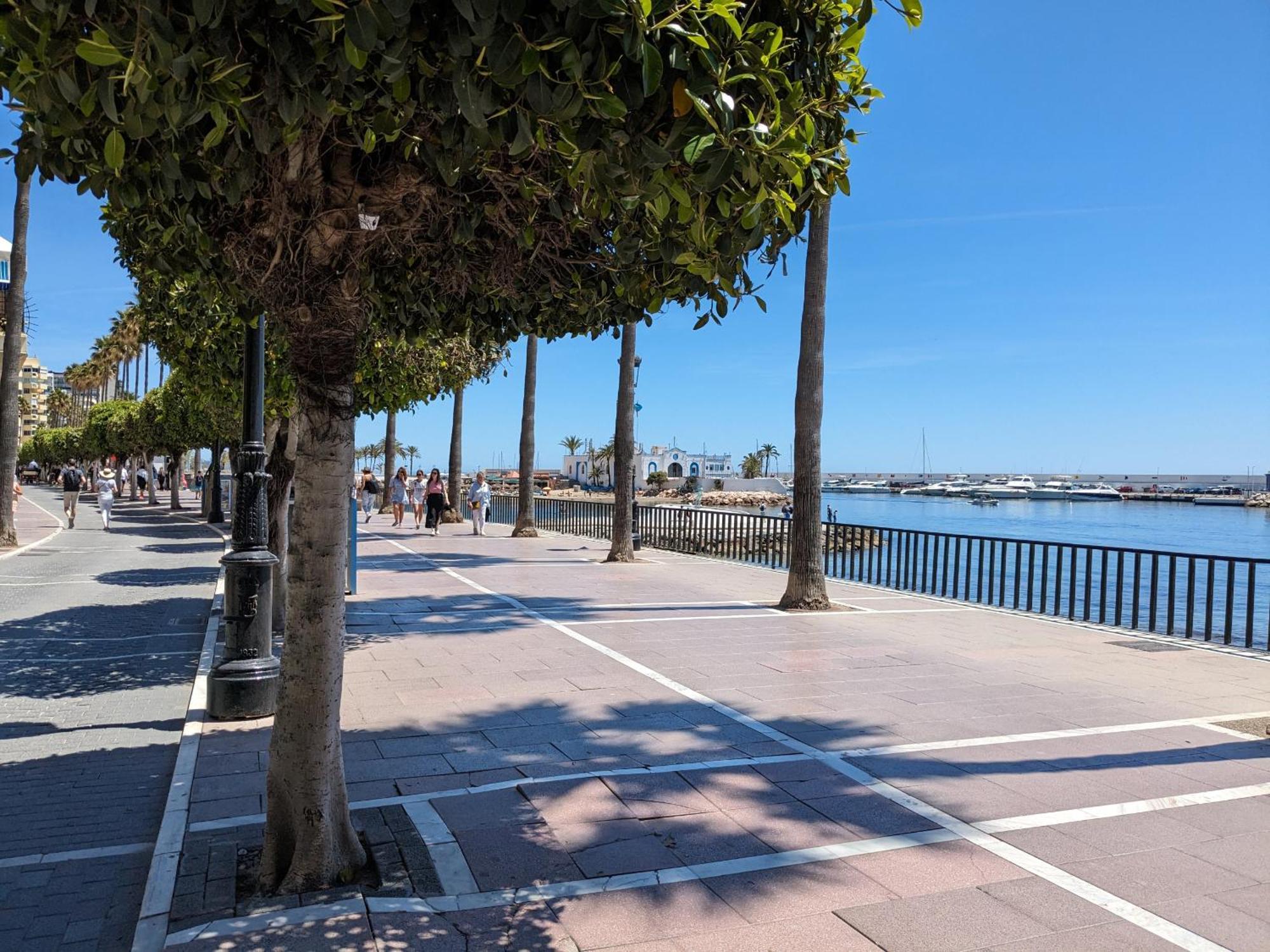 Con Vistas Y Terraza En *